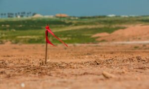Survey stake marking a property boundary on vacant land during a due diligence survey