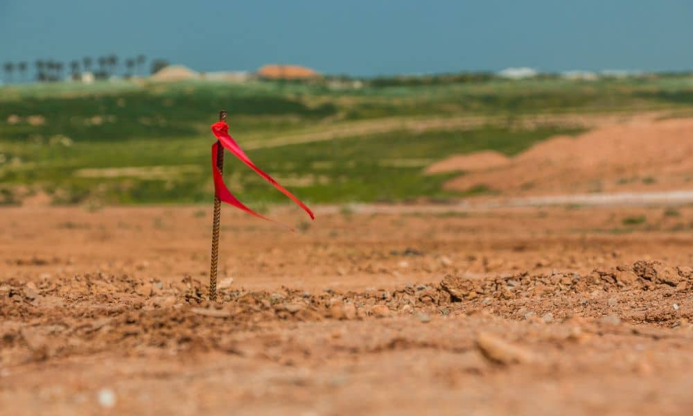 Survey stake marking a property boundary on vacant land during a due diligence survey