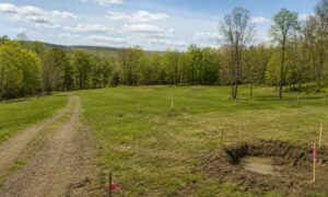 New york perc test site - ALTA SURVEY New York Rural New York land with a marked perc test area and survey stakes before building